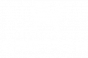 Griffon coloré en blanc